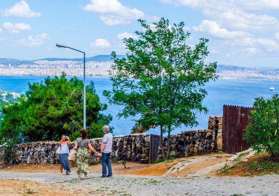 Istanbul: Round-Trip Ferry Tickets to the Princes' Islands - Trotsky’s villa and the island’s layered past
