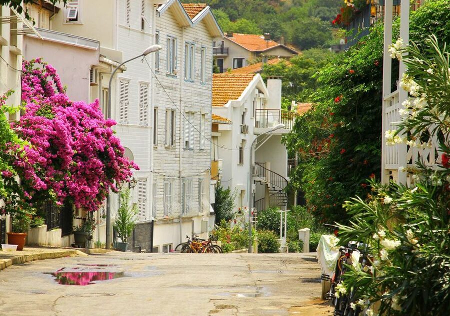 Istanbul: Round-Trip Ferry Tickets to the Princes' Islands - Lunch, swimming, and the final hours
