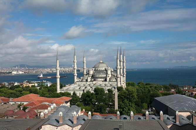 Istanbul Shore Excursion by TRAM: Half Day Private Tour from Port - Hagia Sophia, where two eras share one building