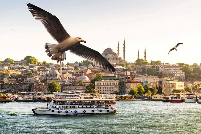 Istanbul: Spice Market and Bosphorus Tour - Who will enjoy this experience most