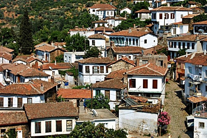 Istanbul to Ephesus Full Day Guided Tour, Flight and Lunch incl. - The Temple of Artemis and a useful photo stop