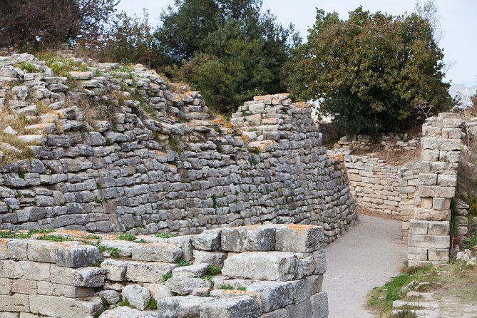 Istanbul to Truva Troy Guided Day Tour with Lunch and Transfers - Guide quality makes the difference
