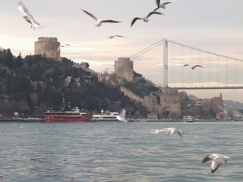 İstanbul True Discovery Tour - Who should book this day trip?