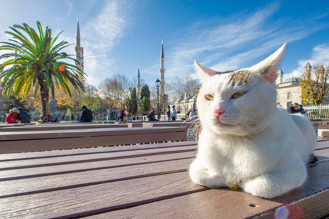 Istanbul Walking Tour with Audioguide on Your Smartphone - What the app provides, and what it does not