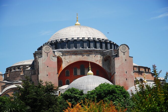 Magical Sights of Istanbul Private Walking Tour - What guides add to the day