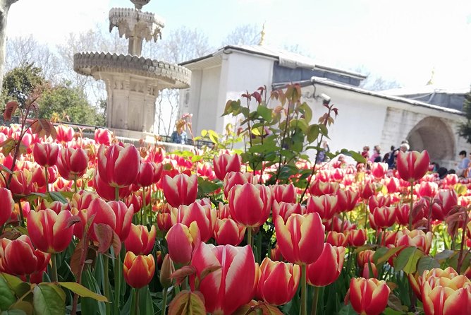 Most famous sites of Istanbul - Hagia Sophia and the Byzantine center