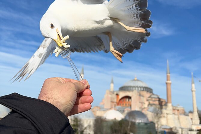 Multi 2 Days Private Guided Istanbul Iconic Landmarks City Tour - Guides, transport, and the private format