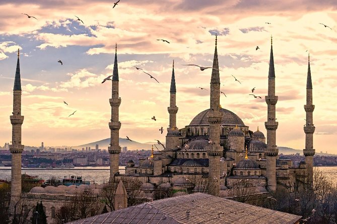Must See in Istanbul: Private Full-Day Experience & Local Lunch - The Hippodrome and the politics of ancient Istanbul