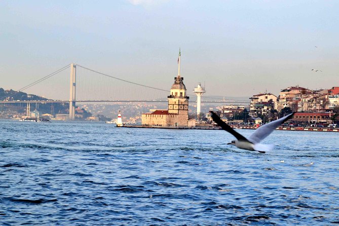 Panoramic City Tour with Bosphorus Strait Sightseeing Cruise - Final verdict: a good cruise with a light city tour