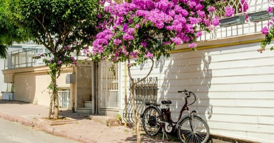 Prince's Island Group Tour - Key points to know before booking