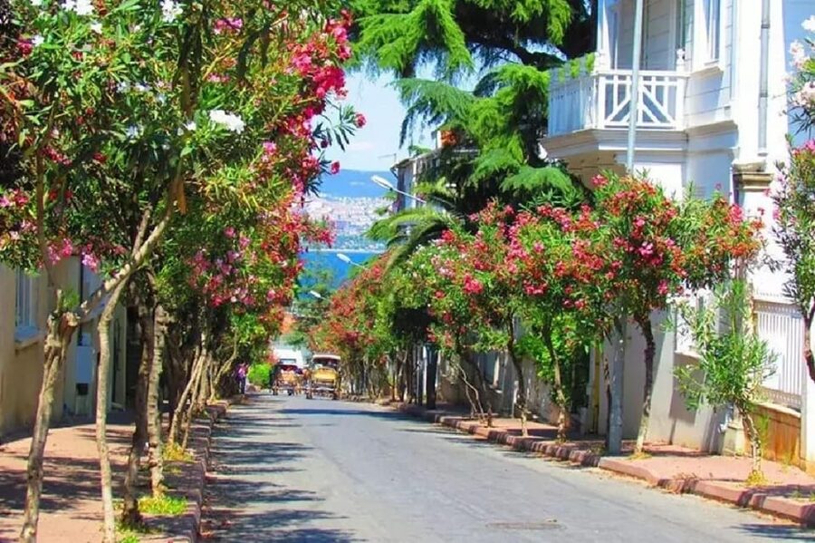 Prince's Island Group Tour - The short ferry to Büyükada