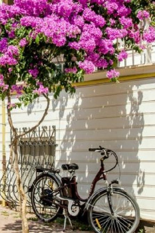 Prince's Island Group Tour - The morning ride from Istanbul to Heybeliada