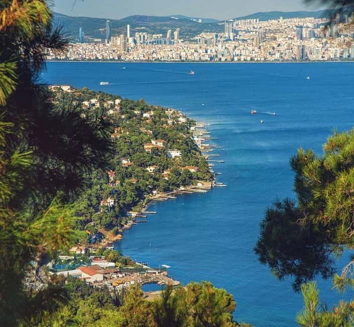 Princes Island Full Day Tour with Lunch - Arriving at Büyükada’s wooden mansions