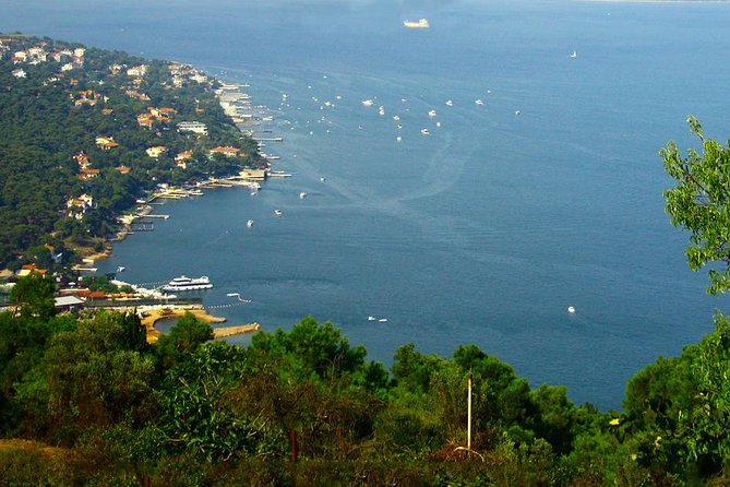 Princes' Islands Tour from Istanbul - Key points to know before booking