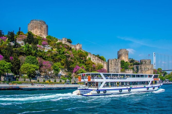 Princes' Islands Tour from Istanbul Lunch Included - Boat travel, vehicles, and group size