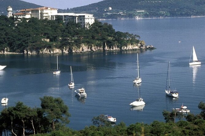 Princes Islands Tour WITH Private Boat, optional Pickup & Lunch - The Return Cruise and Optional Leather Shop