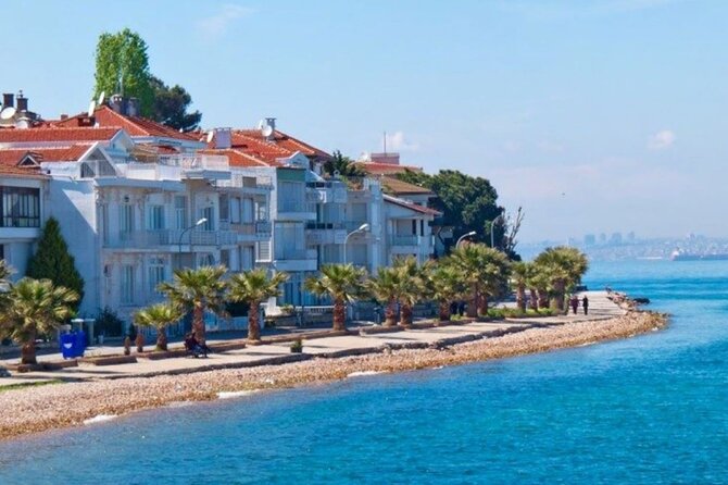 Princes Islands Tour WITH Private Boat, optional Pickup & Lunch - Three Hours on Büyükada