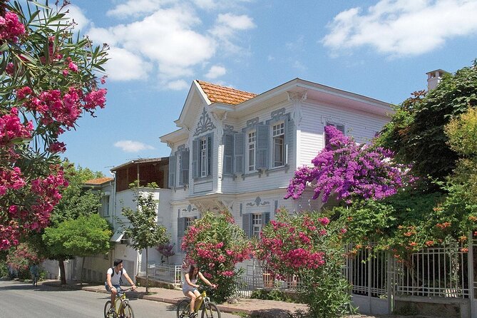 Princess Island Tour Full Day - Büyükada, old mansions, and electric cars