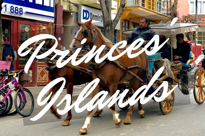 Princess Island Tour with Lunch & Ferry Ride - English and Arabic guiding, with one important caution