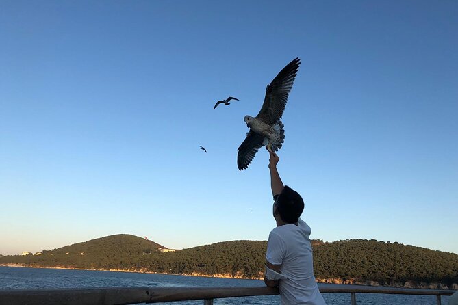 Princess Islands Tour With Lunch and Guide - Who should book this island trip?