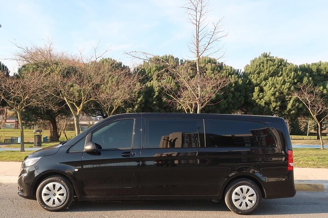 Private Airport Transfer in Istanbul - Flight tracking helps when arrival times change