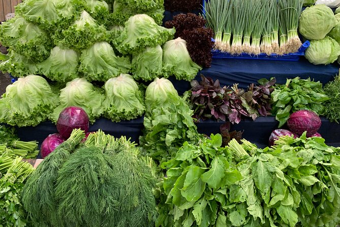 Private and guided VEGETARIAN / VEGAN tour of Istanbul - Price, timing, and practical value