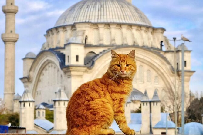 Private Cultural Tour of Istanbul: 1 or 2-Day Tailored Experience - Key points to know before booking