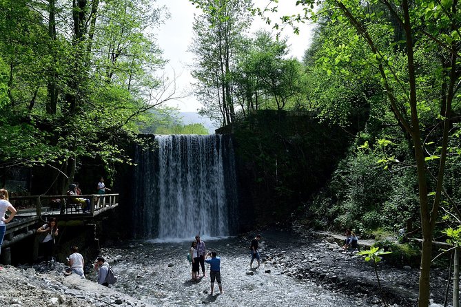 Private Day Trip From Istanbul to Lake Sapanca and Maşukiye Village - Sapanca Lake in a 50-minute pause