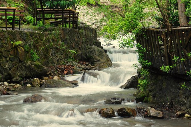 Private Day Trip From Istanbul to Lake Sapanca and Maşukiye Village - Kartepe and the mountain ride