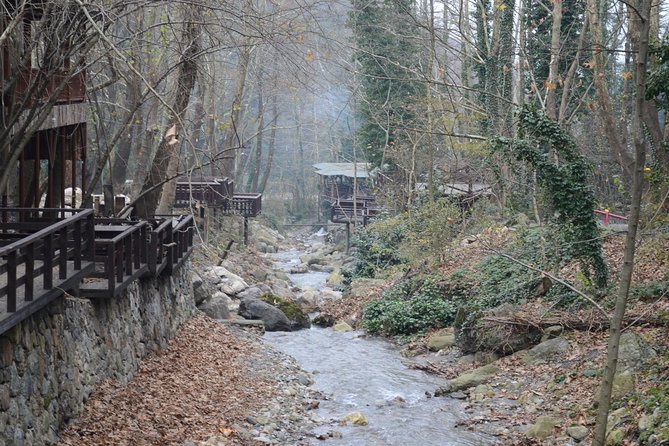 Private Day Trip From Istanbul to Lake Sapanca and Maşukiye Village - What is included in the $308.32 price