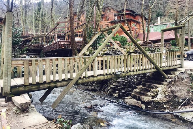 Private Day Trip From Istanbul to Lake Sapanca and Maşukiye Village - Maşukiye beside the water