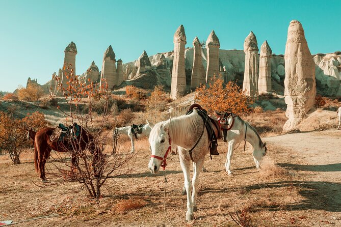 Private Day Trip to Cappadocia from Istanbul - Kaymakli Underground City is the day’s most unusual stop