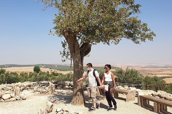 Private Göbeklitepe Tour from Istanbul - Walking through the Göbekli Tepe excavation