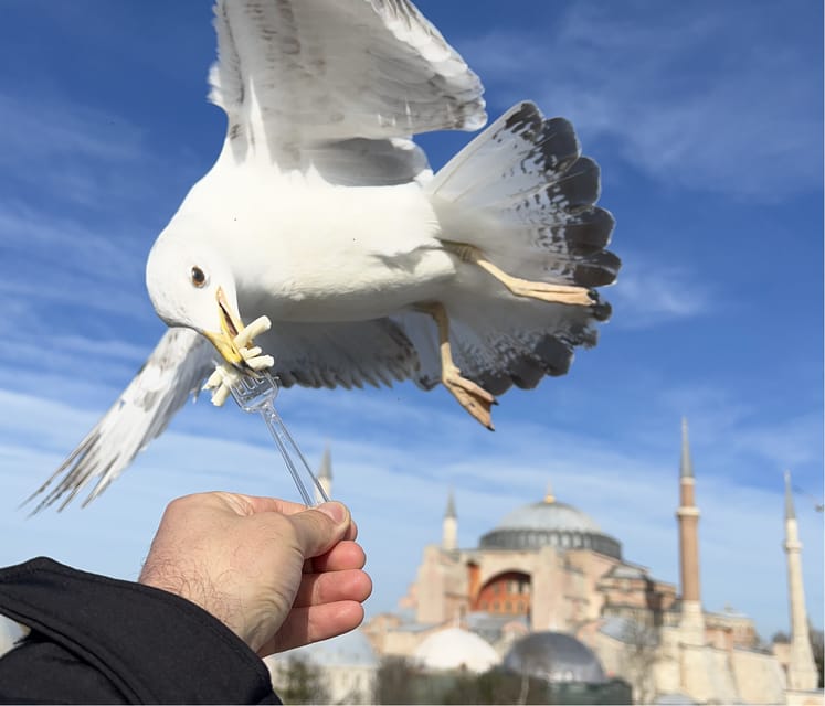 Private Guided Istanbul Luxury Tour (Tickets and Transfers) - Hagia Sophia and its layered interior