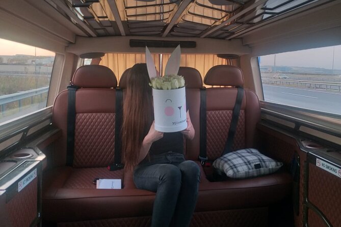 Private Istanbul Airport (IST) Transfer To/From City Center - Comfort, Wi-Fi, and the small extras