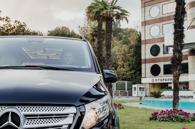 Private Istanbul Airport Transfer to Blue Mosque Sultan Ahmet - Booking details worth checking before you fly
