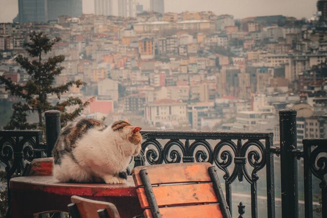 Private Istanbul Highlights Tour: 1, 2, or 3-Day Options - Crossing between Europe and Asia on day two