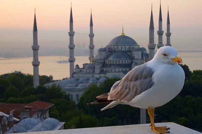 Private Istanbul Layover Tour From Airport - Leaving the airport with a private vehicle