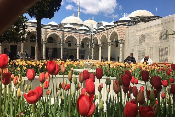 Private Istanbul Old City Walking Tour - Hagia Sophia: a 1,500-year-old starting point