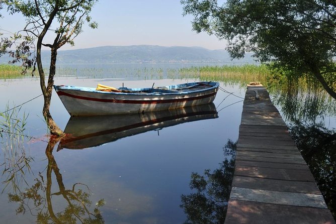 Sapanca And Masukiye Tour With Lunch - Full Day - Darıca Zoo brings animals into the day