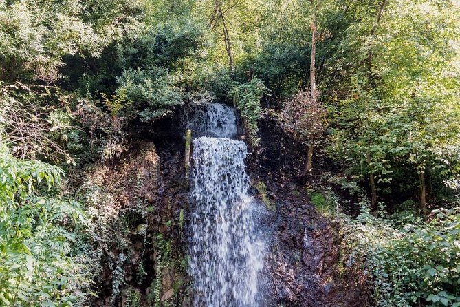 Sapanca And Masukiye Tour With Lunch - Full Day - Who should book this Sapanca and Maşukiye outing?