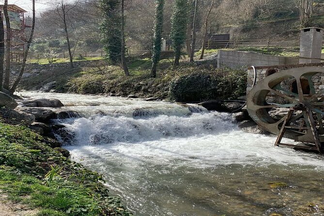 Sapanca Full Day Tour with Lunch - Maşukiye, Kartepe, and the Camteras viewpoint