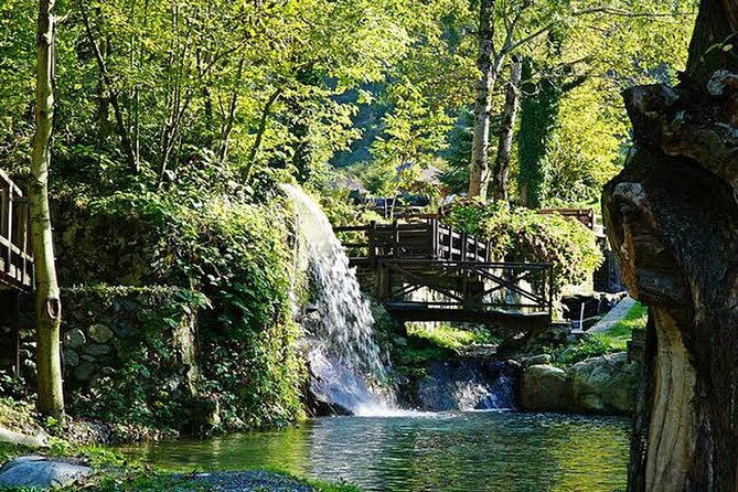 Sapanca Full Day Tour with Lunch - What the schedule means in practice