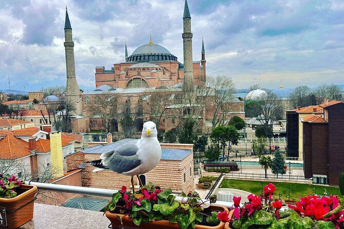 Skip Lines with Local Tour Guide Taha - Key points at a glance
