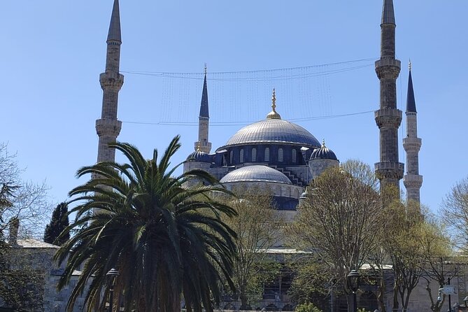 Skip Lines with Local Tour Guide Taha - Why Taha’s flexible format works in Istanbul