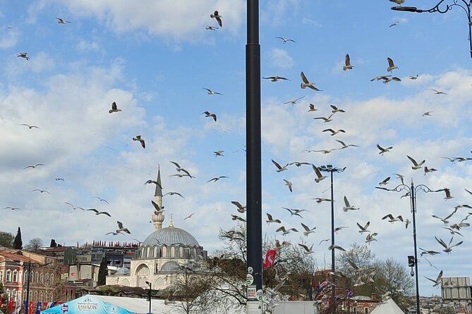 Skip Lines with Local Tour Guide Taha - The Blue Mosque and Ottoman visual drama