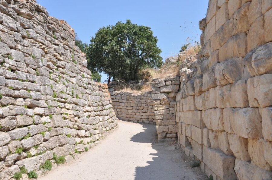 Troy: Full-Day Tour from Istanbul - The guide makes the ruins readable
