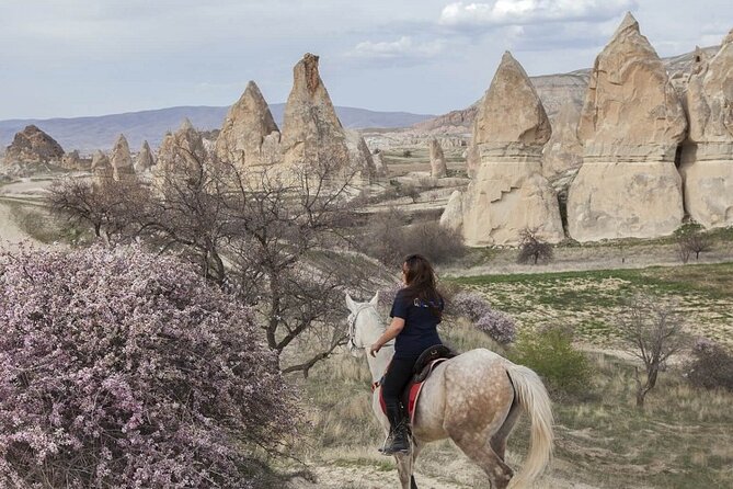Turkey 8 Day Package - Istanbul, Cappadocia, Ephesus, Pamukkale - Day 3: Spices, the Bosphorus, and Cappadocia