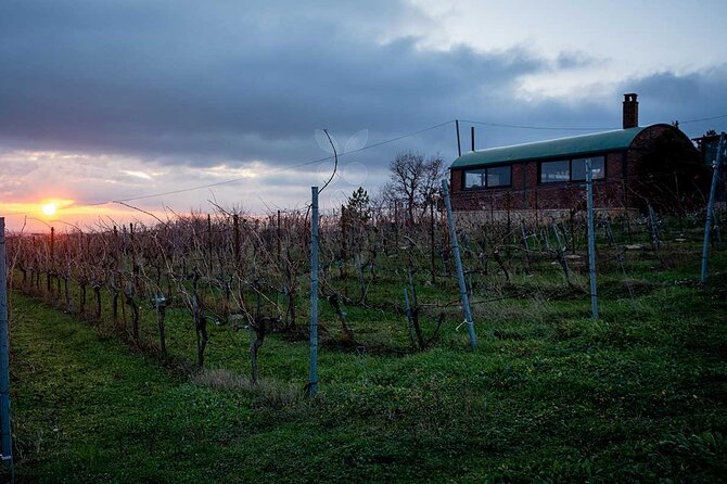 VIP Full Day Wineries Tour from Istanbul - Is $595.45 per person fair?