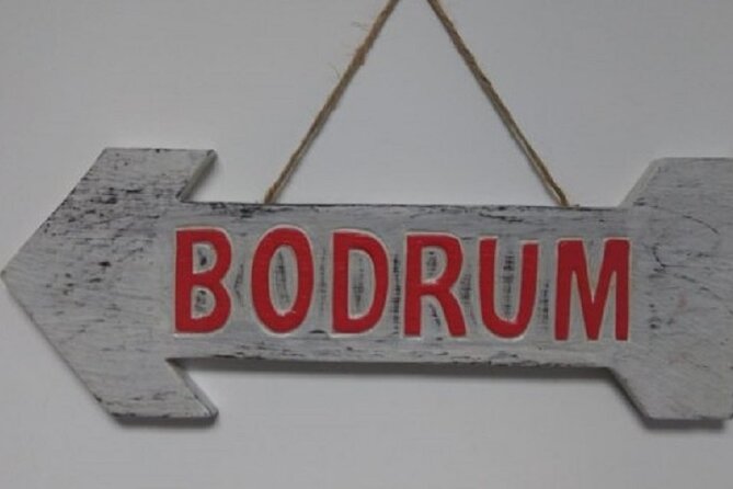 With Minivan Istanbul to Capadocia Bodrum Izmir - A 7 to 9 hour ride needs realistic planning